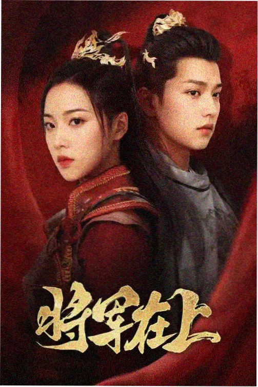 旧磁带剧集封面